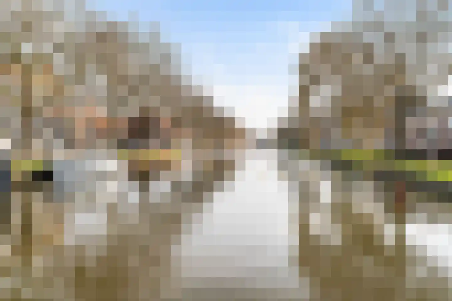 Oranje Plantage 13 Delft thumbnail 28