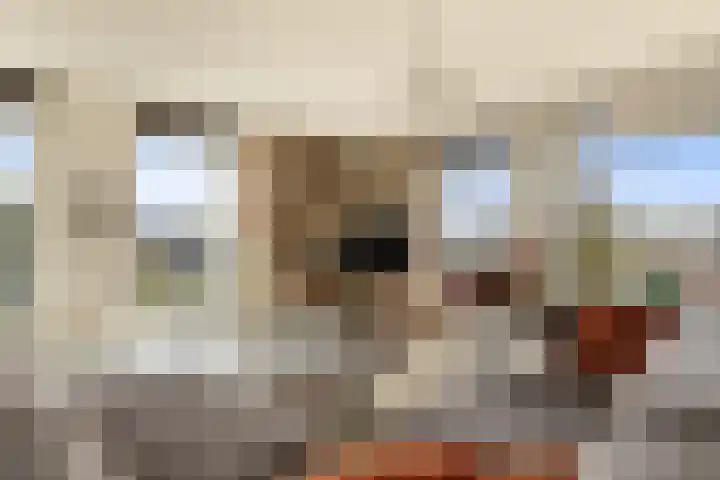 Oranje-Vrijstaatkade 42 Amsterdam thumbnail 10