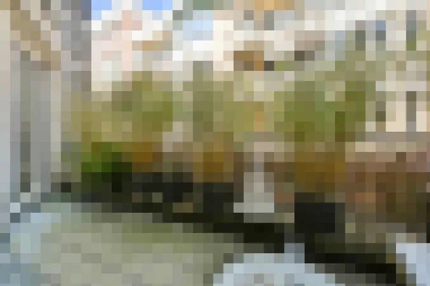 Oranje-Vrijstaatplein 10 Amsterdam thumbnail 5