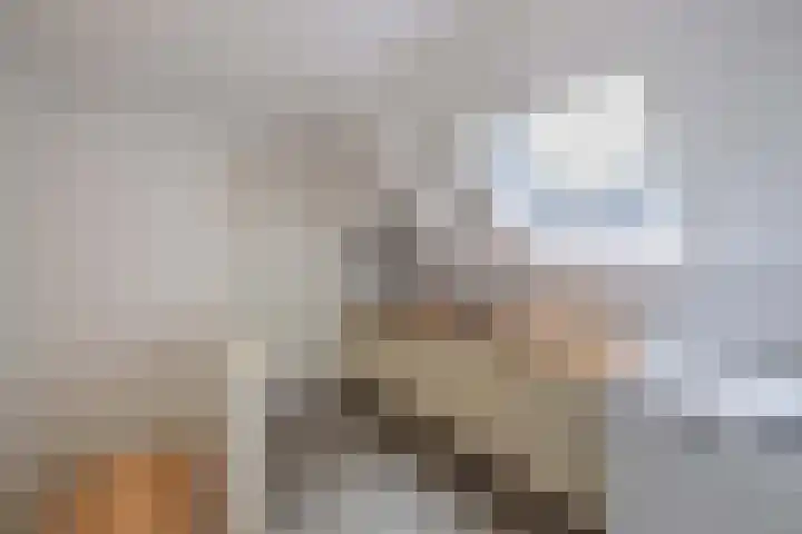 Oranje Weeshuisstraat 11 a Huizen thumbnail 7