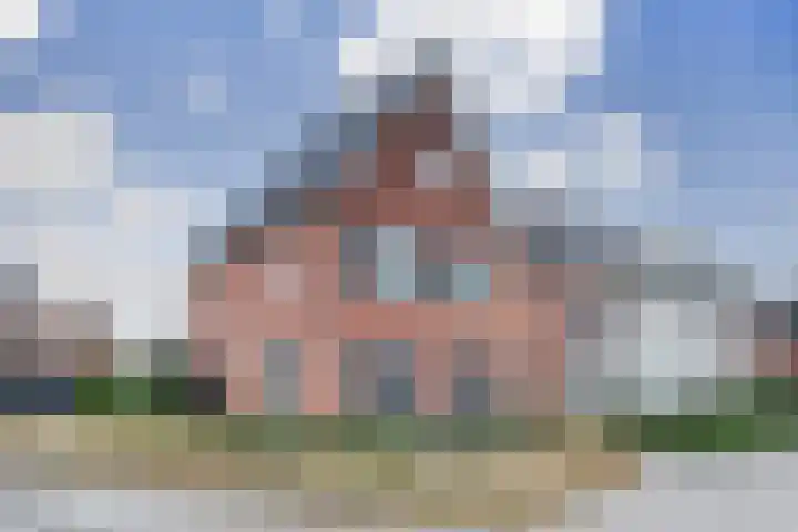 Oranje zegge 13 en Vlijmen