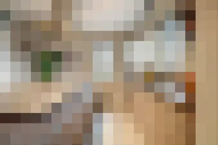 Oranje zegge 13 Vlijmen thumbnail 11