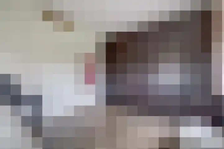 Oranje zegge 13 Vlijmen thumbnail 18