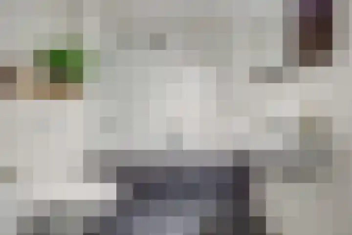 Oranje zegge 13 Vlijmen thumbnail 19