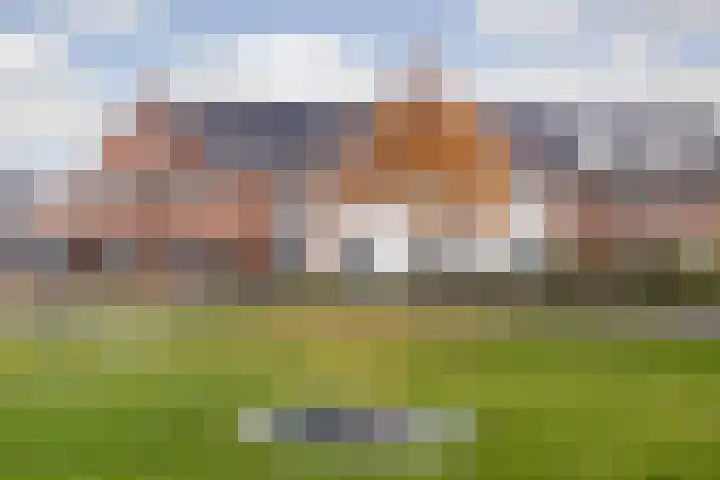 Oranje zegge 13 Vlijmen foto 2