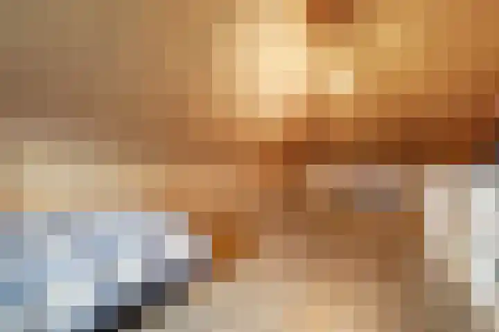 Oranje zegge 13 Vlijmen thumbnail 26