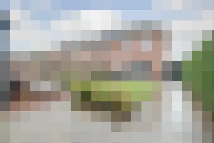 Oranje zegge 13 Vlijmen thumbnail 28