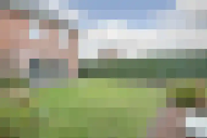 Oranje zegge 13 Vlijmen thumbnail 29