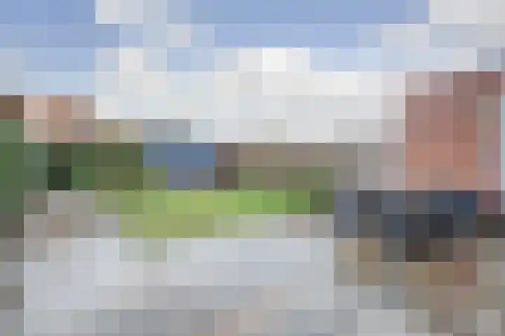 Oranje zegge 13 Vlijmen thumbnail 30