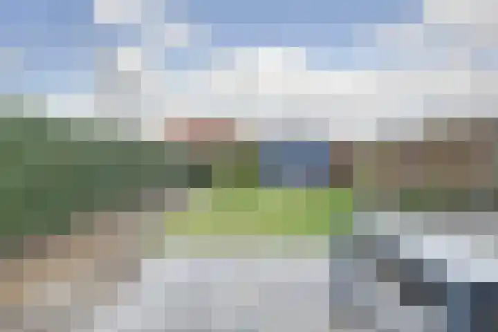 Oranje zegge 13 Vlijmen thumbnail 31