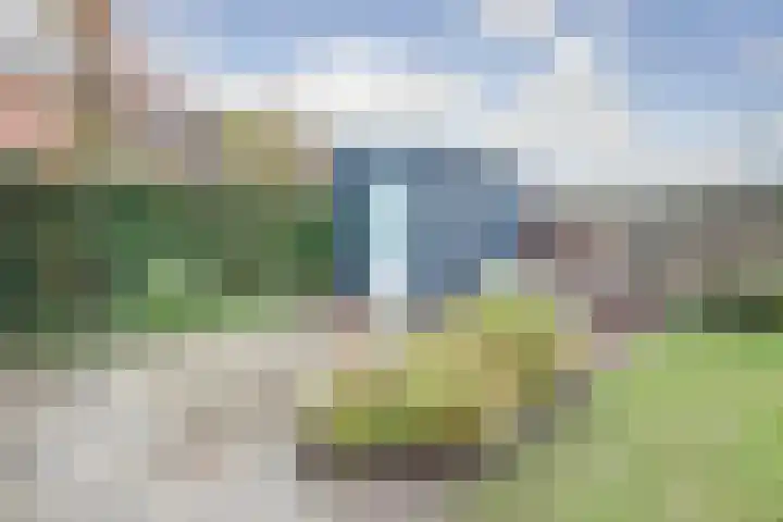 Oranje zegge 13 Vlijmen thumbnail 32