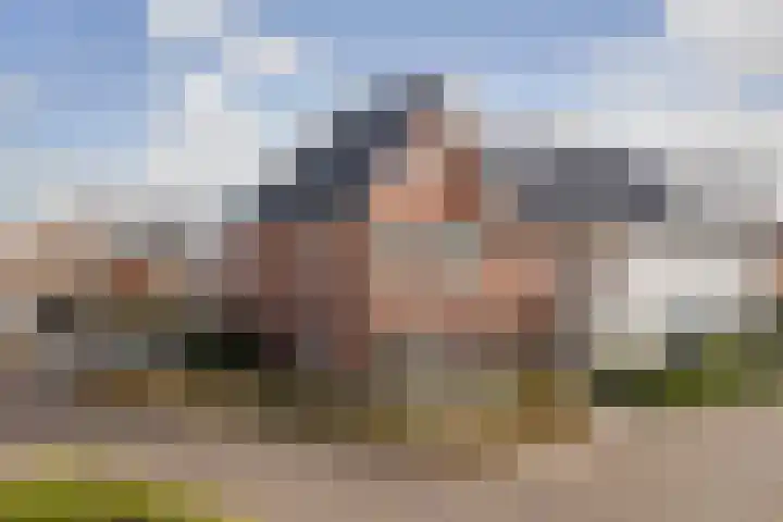 Oranje zegge 13 Vlijmen thumbnail 36