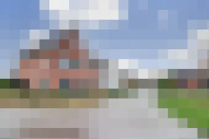 Oranje zegge 13 Vlijmen thumbnail 37