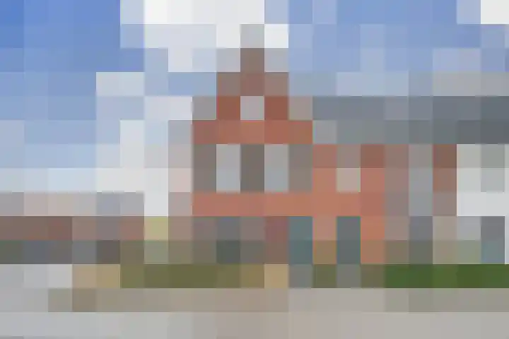 Oranje zegge 13 Vlijmen thumbnail 38