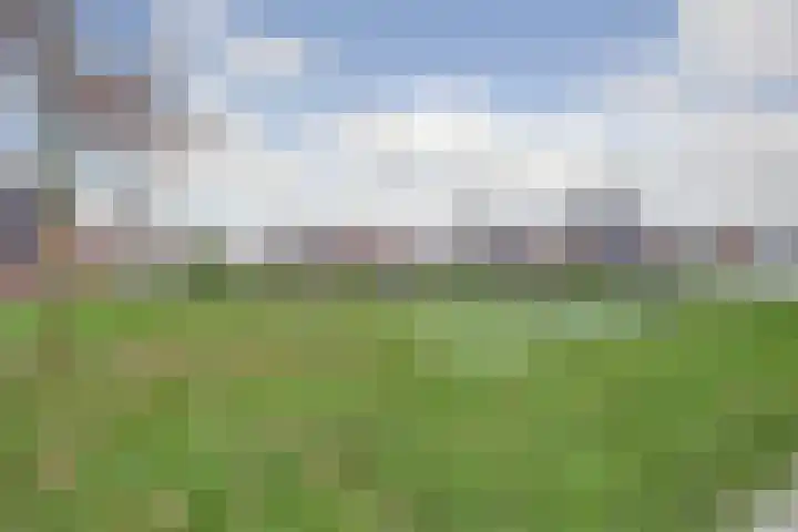 Oranje zegge 13 Vlijmen thumbnail 39