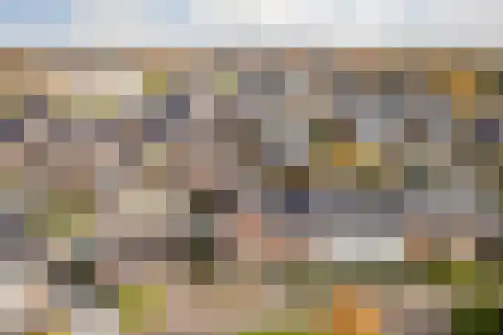 Oranje zegge 13 Vlijmen thumbnail 41