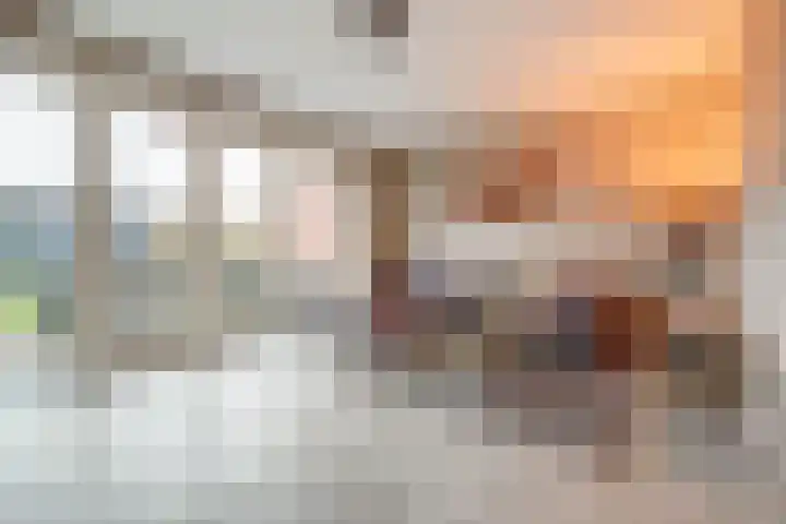 Oranje zegge 13 Vlijmen thumbnail 5