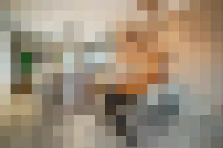 Oranje zegge 13 Vlijmen thumbnail 7