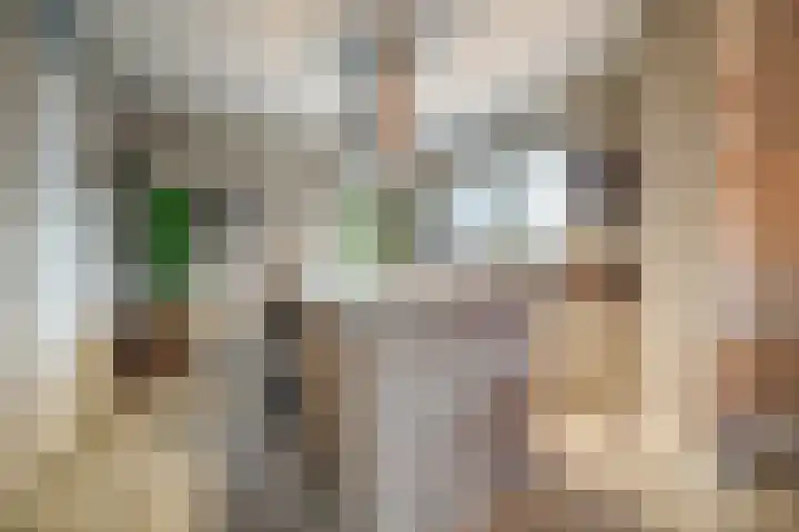 Oranje zegge 13 Vlijmen thumbnail 8