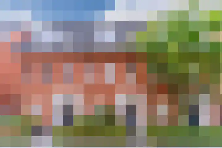 Oranjebloesem 36 in Best