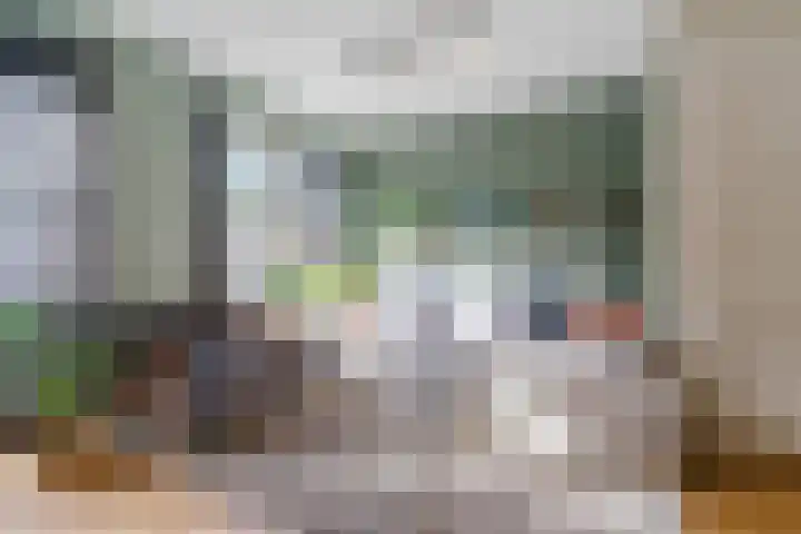 Oranjebloesem 36 Best thumbnail 10