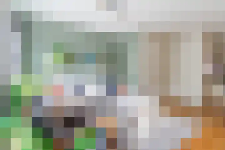 Oranjebloesem 36 Best thumbnail 11