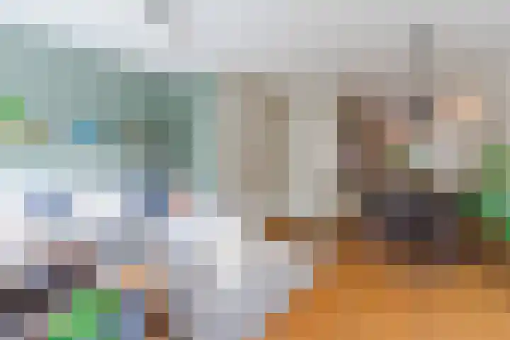 Oranjebloesem 36 Best thumbnail 12