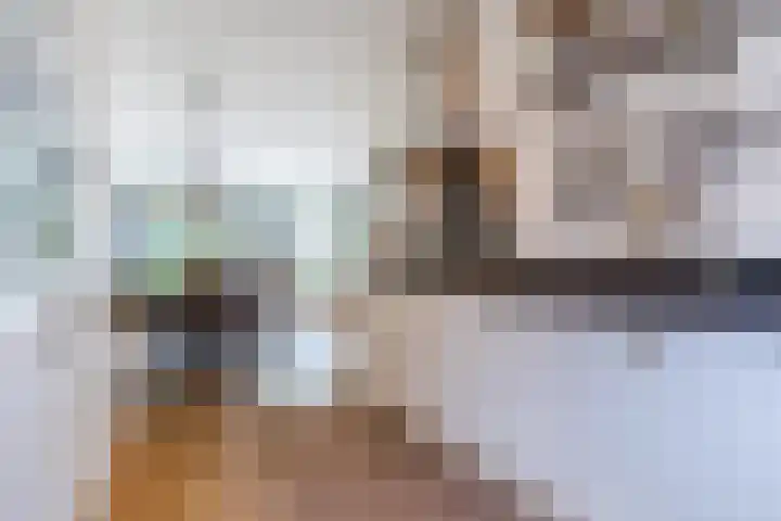 Oranjebloesem 36 Best thumbnail 14