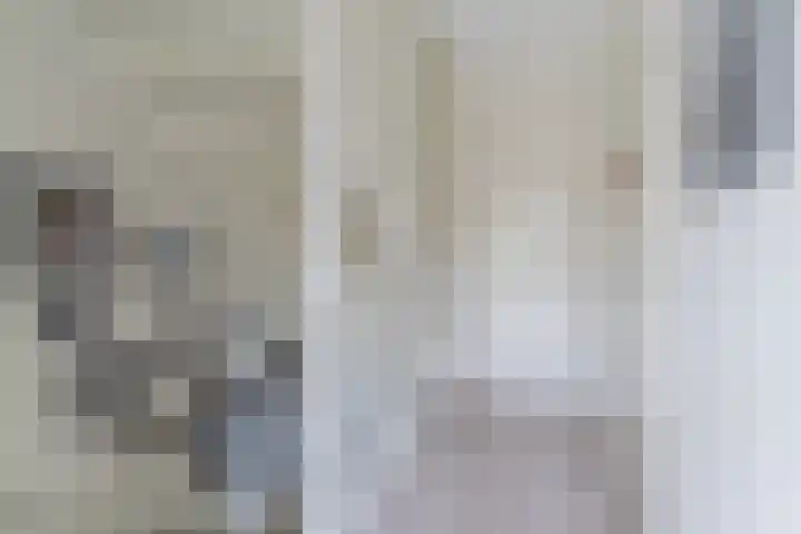 Oranjebloesem 36 Best thumbnail 15