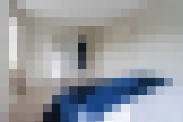 Oranjebloesem 36 Best thumbnail 17