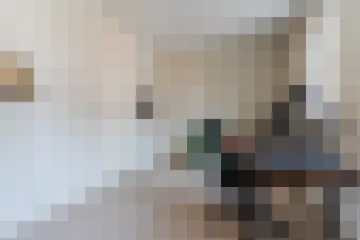 Oranjebloesem 36 Best thumbnail 19