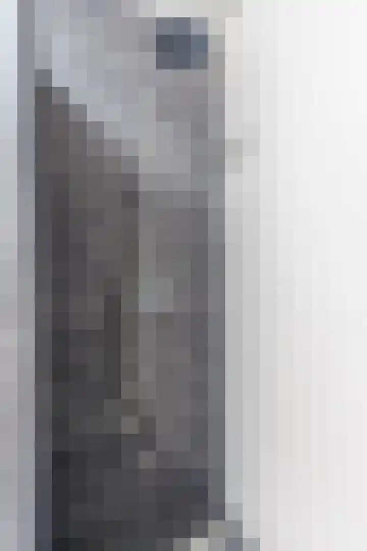Oranjebloesem 36 Best thumbnail 21