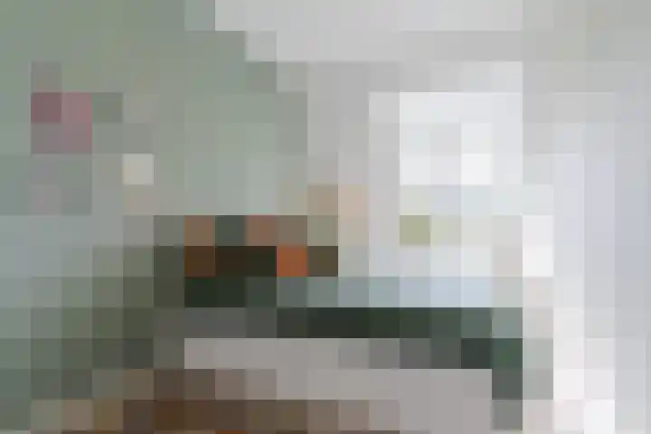 Oranjebloesem 36 Best thumbnail 23