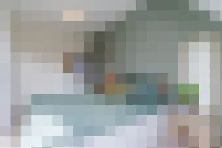 Oranjebloesem 36 Best thumbnail 24