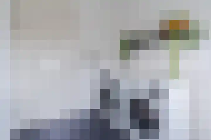 Oranjebloesem 36 Best thumbnail 27
