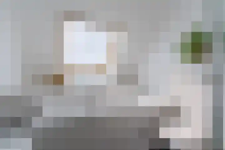 Oranjebloesem 36 Best thumbnail 28