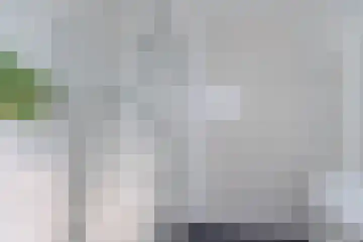 Oranjebloesem 36 Best thumbnail 29
