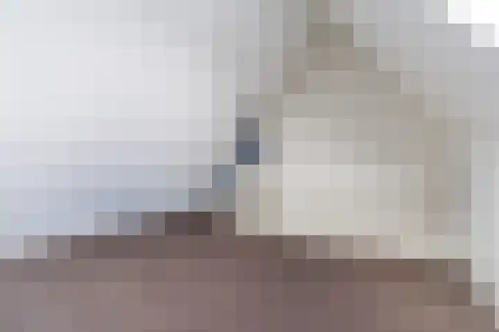 Oranjebloesem 36 Best thumbnail 34