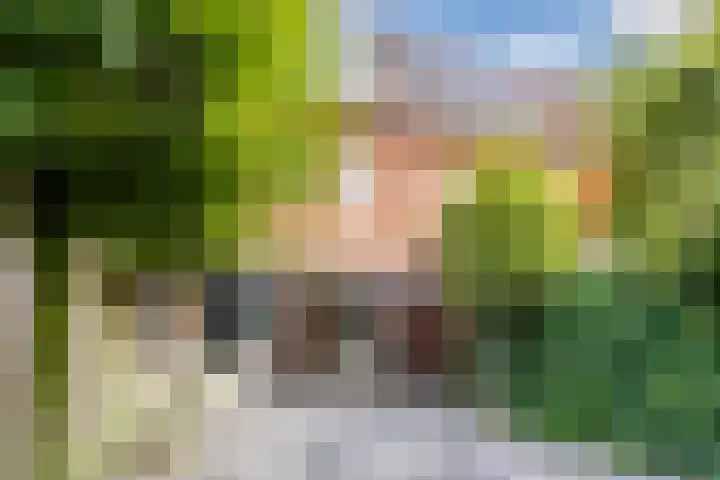 Oranjebloesem 36 Best thumbnail 36