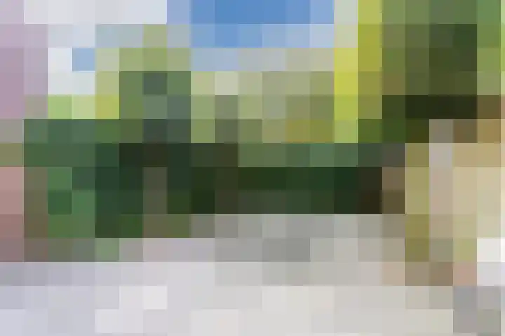 Oranjebloesem 36 Best thumbnail 38