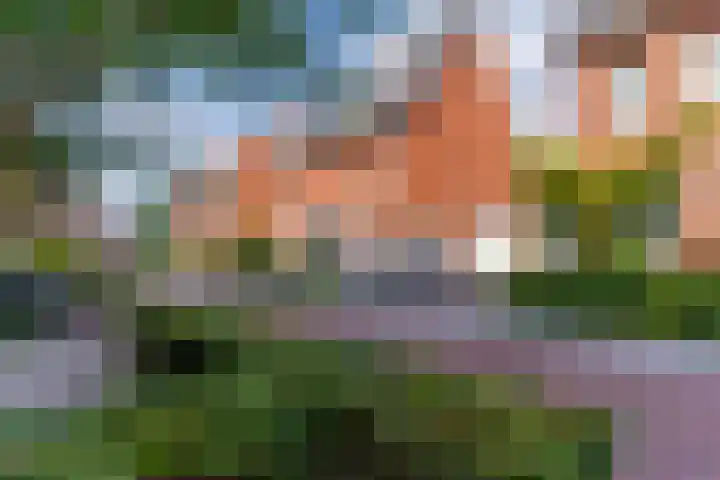 Oranjebloesem 36 Best thumbnail 39