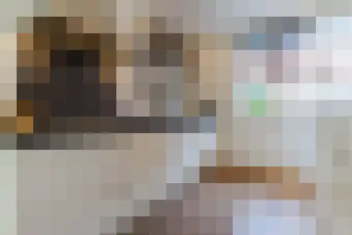 Oranjebloesem 36 Best thumbnail 4