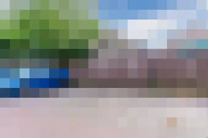 Oranjebloesem 36 Best thumbnail 41