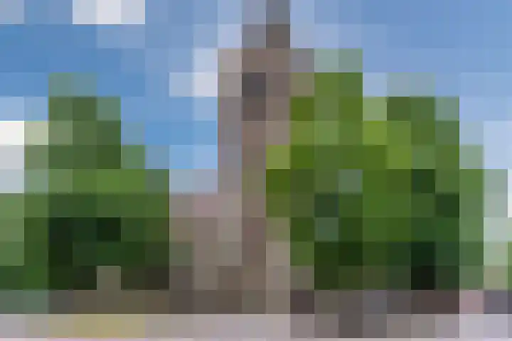 Oranjebloesem 36 Best thumbnail 43
