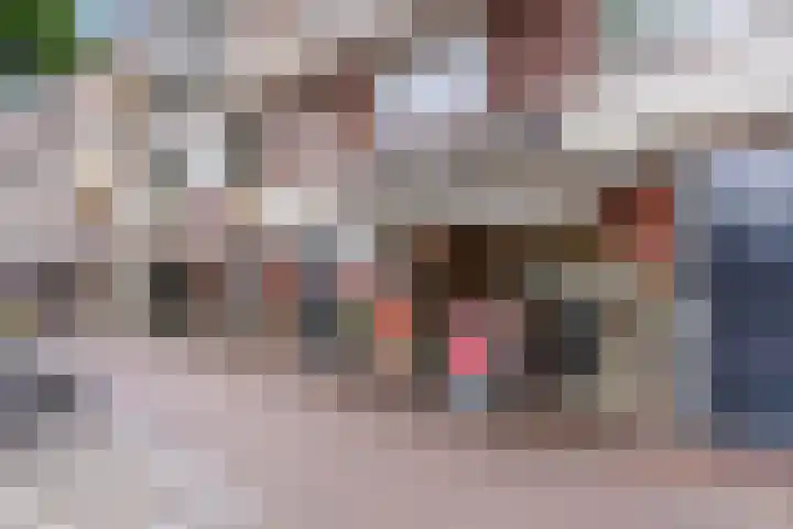 Oranjebloesem 36 Best thumbnail 45