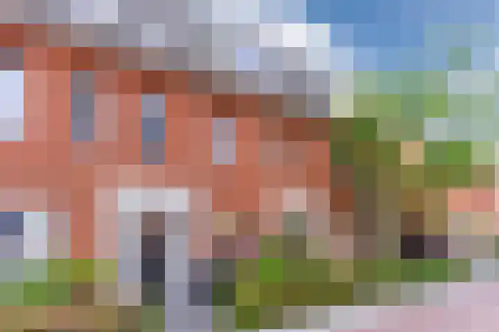 Oranjebloesem 36 Best thumbnail 7