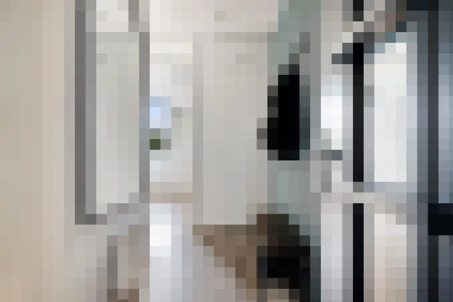 Oranjebloesem 54 Best thumbnail 12