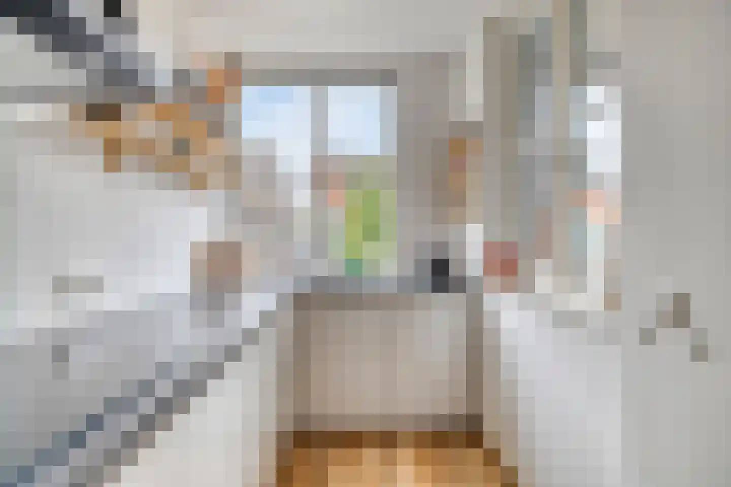Oranjebloesem 54 Best thumbnail 21