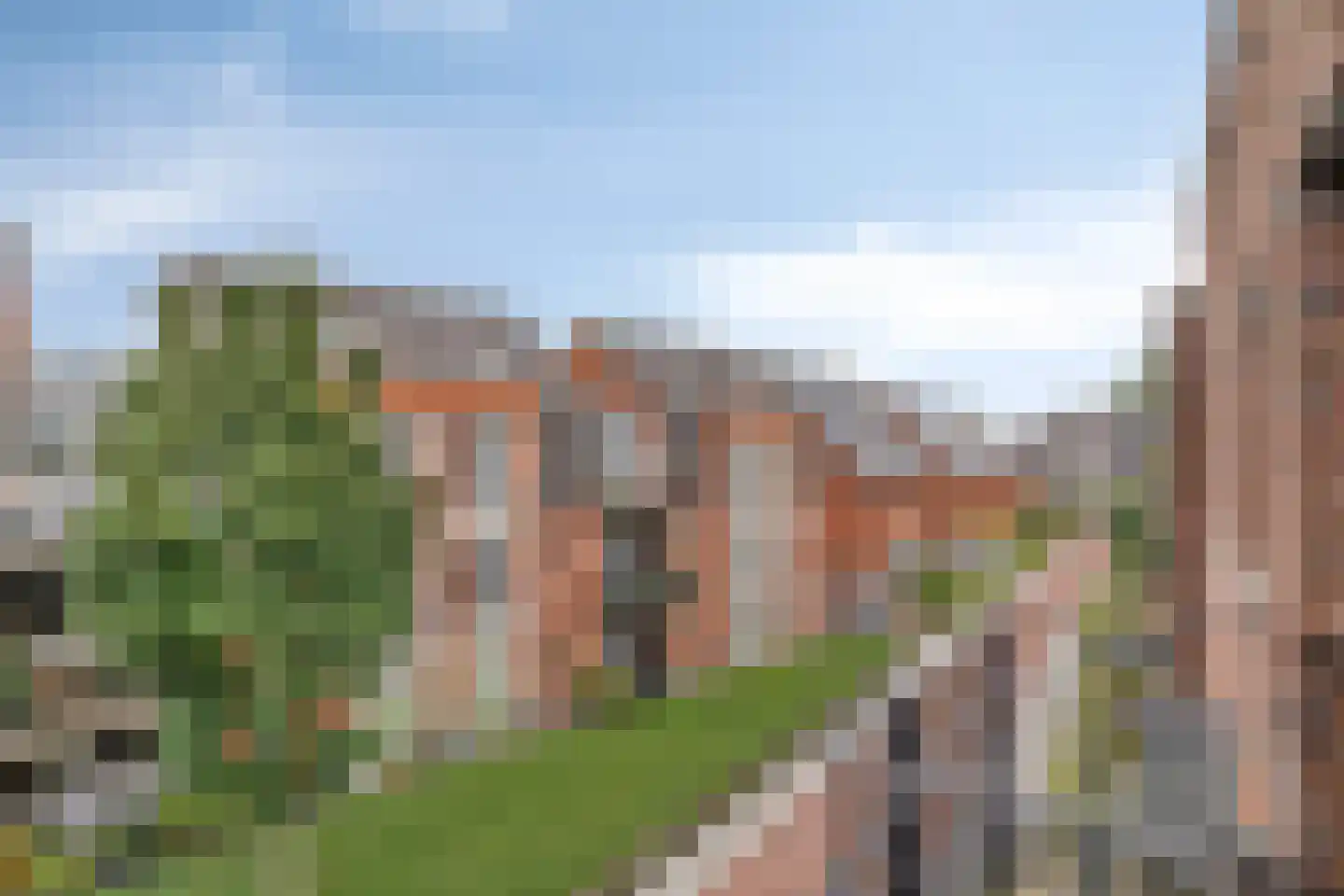 Oranjebloesem 54 Best thumbnail 31