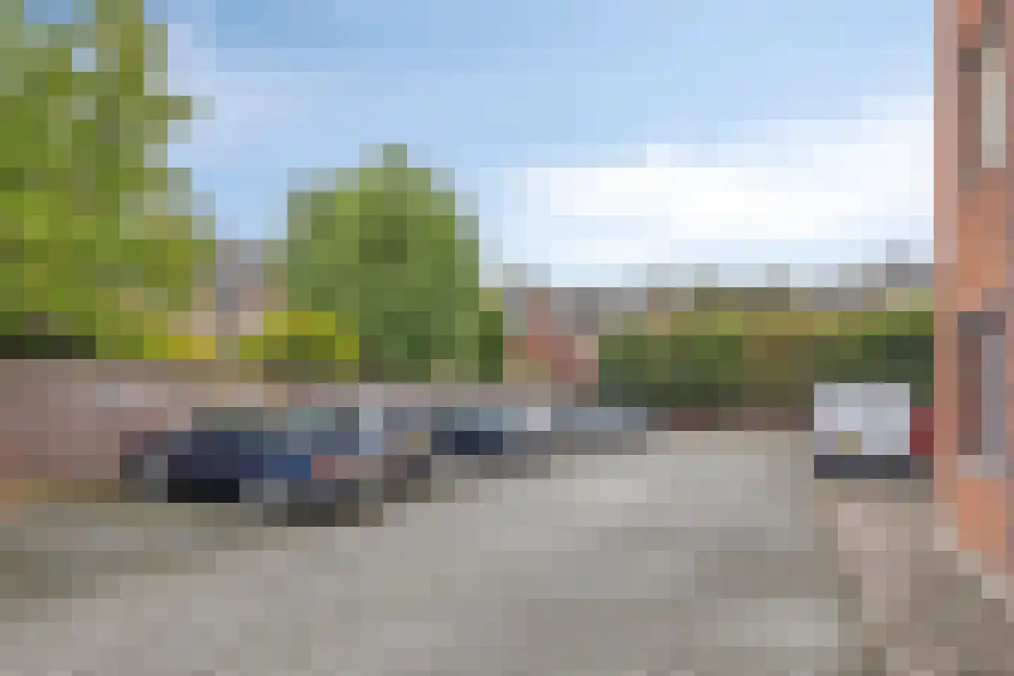 Oranjebloesem 54 Best thumbnail 33